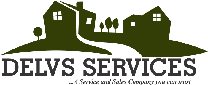 Delvs Services